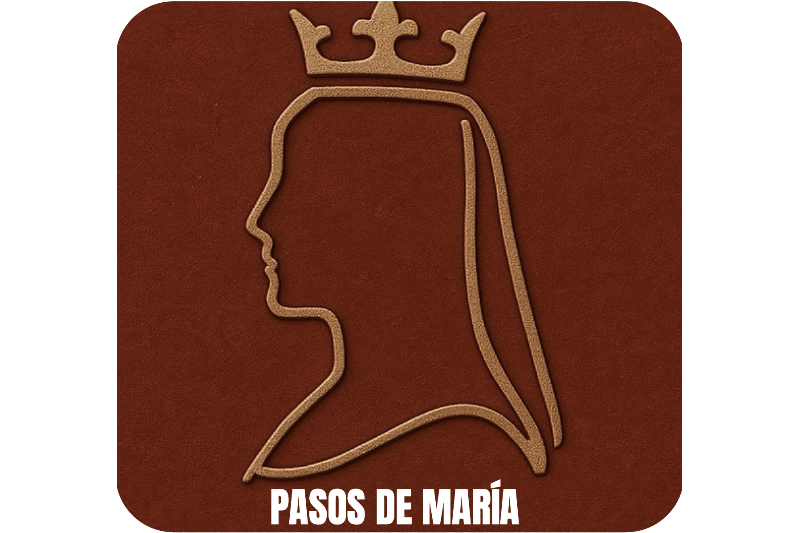 ¡Descubre Valladolid de forma única! Con Pasos de María seguirás la ruta de María de Molina y su historia mientras exploras la ciudad. Usa el mapa interactivo para marcar lugares, accede a descripciones, ubicación y horarios, y completa la experiencia con una sección infantil con ilustraciones y cuentos. ¿Te atreves? ¡Compite en el cuestionario final y sube en el ranking!